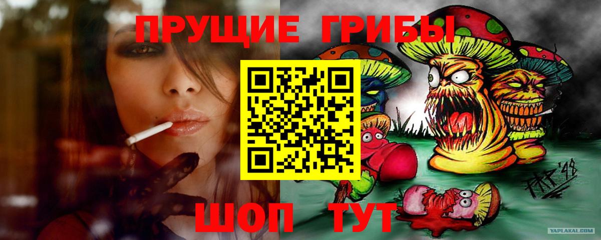 Галлюциногенные грибы Psilocybe  Вход с VPN  Реутов 